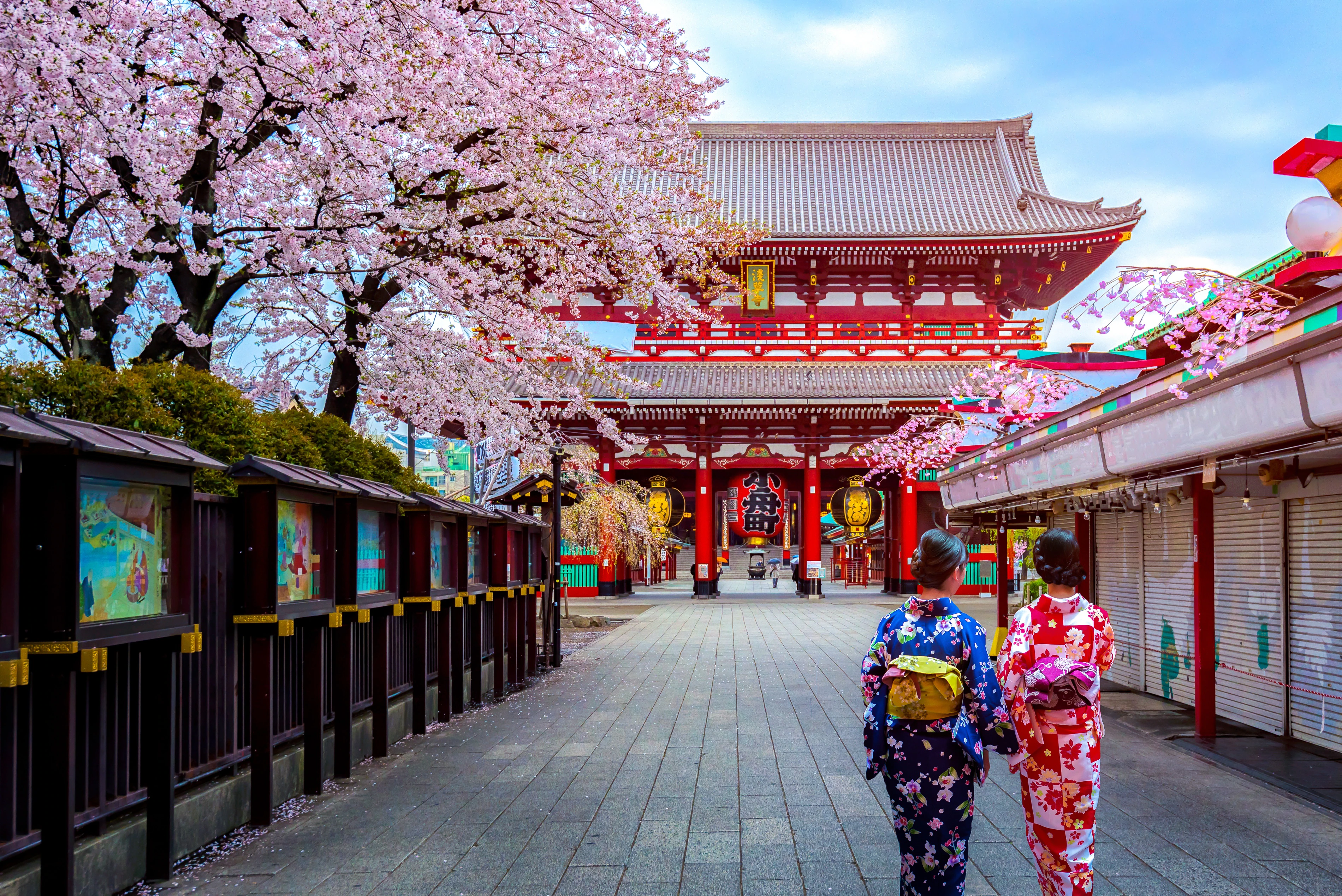 Fotografía de visitantes caminando a través de los toriis, arcos culturalmente representativos de Japón.
